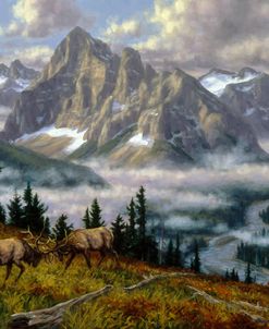 Challenge For The Rugged Ridge