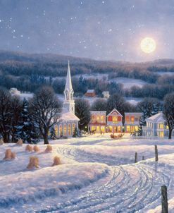 Winter Night By Moonlight