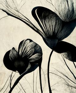 B004 Flowers Black White