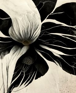 B008 Flowers Black White