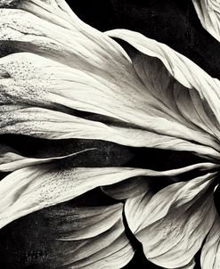 B009 Flowers Black White