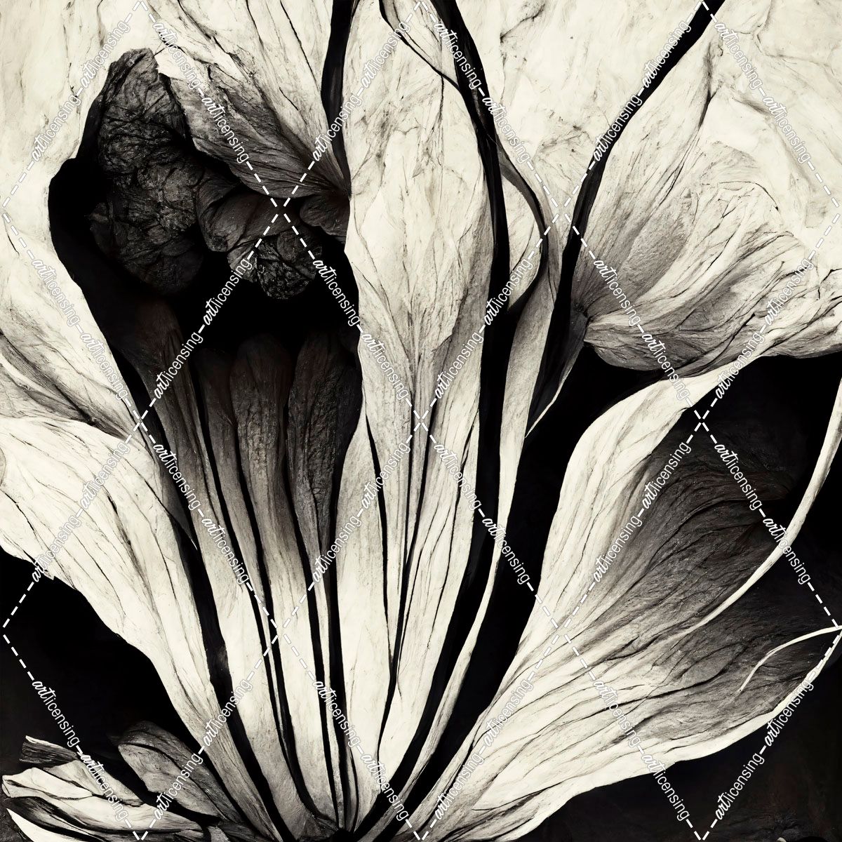 B003 Flowers Black White