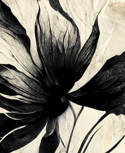 B016 Flowers Black White