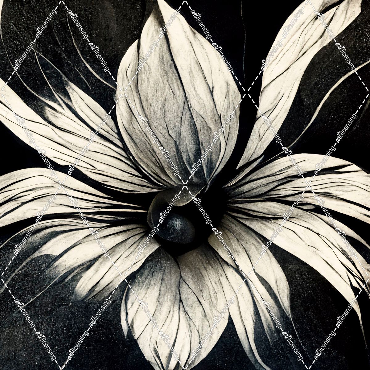 B019 Flowers Black White
