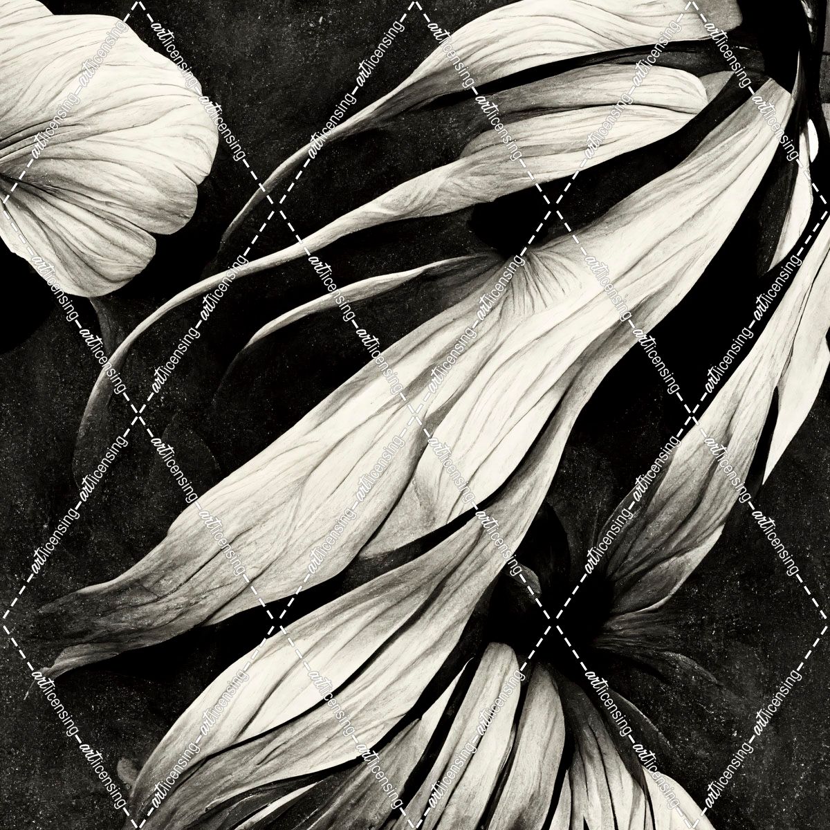 B011 Flowers Black White