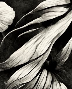 B011 Flowers Black White