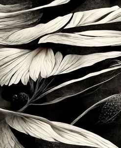 B012 Flowers Black White