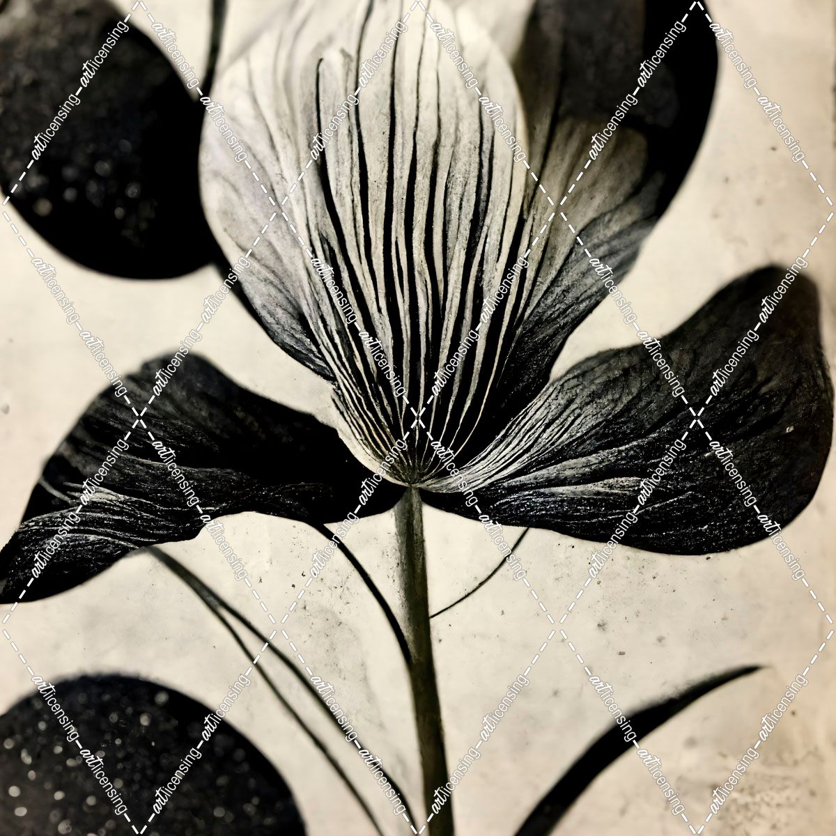 B026 Flowers Black White