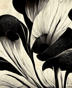 B027 Flowers Black White