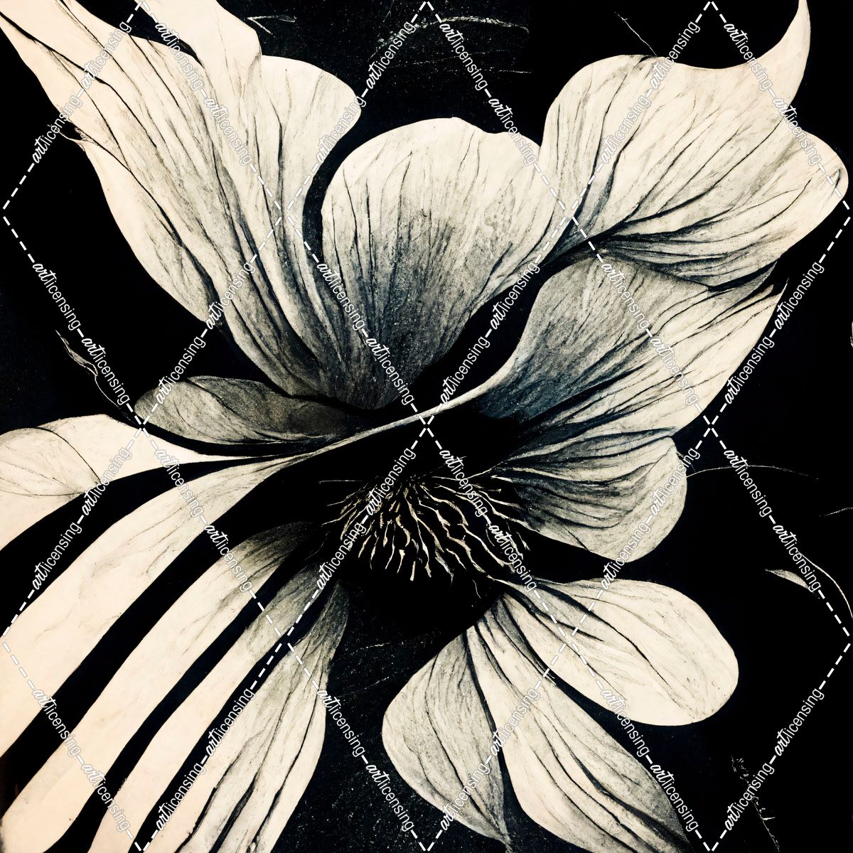 B028 Flowers Black White