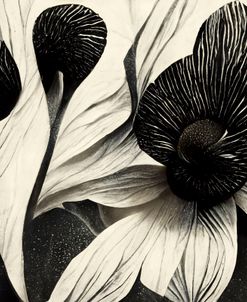 B051 Flowers Black White