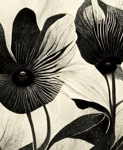 B046 Flowers Black White