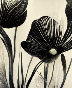 B058 Flowers Black White