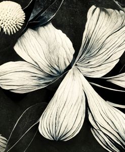 B061 Flowers Black White