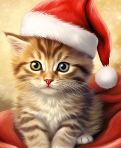 Christmas Kitten 2