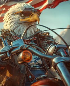 Bald Eagle Biker 3