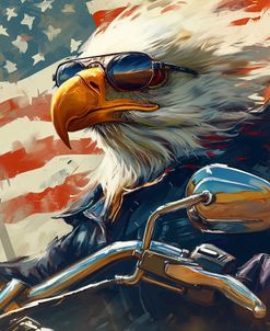 Bald Eagle Biker 1