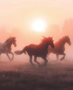 Horses In The Mist 2
