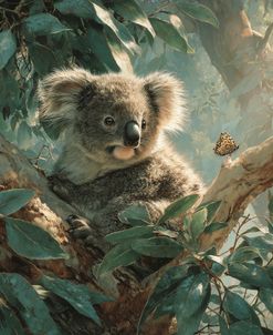 Baby Koala