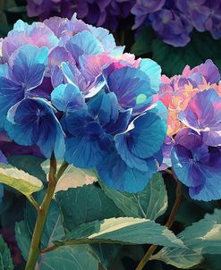 Watercolor Hydrangeas 2