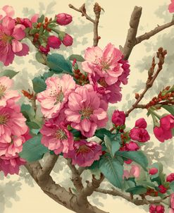 Vintage Cherry Blossoms 1