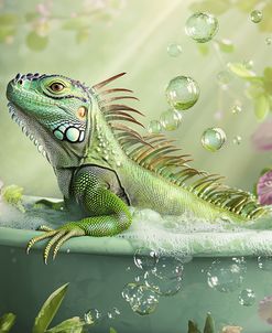 Bathing Iguana