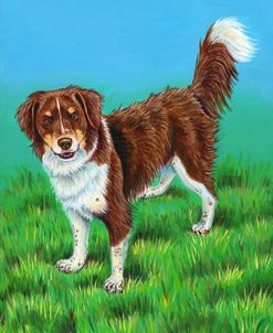 Brown and White Dog