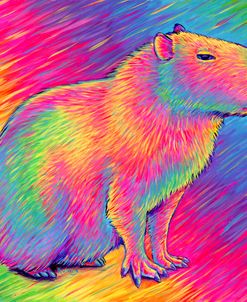 Chill Capybara