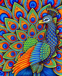 Colorful Paisley Peacock