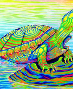 Painted Turtle