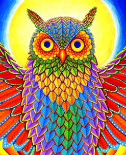 Rainbow Owl