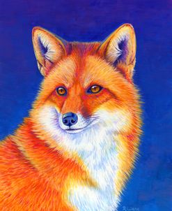 Colorful Red Fox