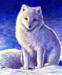 Peaceful Winter Arctic Fox