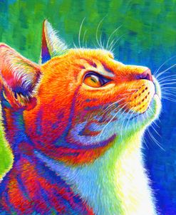 Rainbow Cat