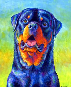 Rottweiler