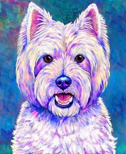 West Highland White Terrier