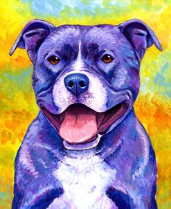 Peppy Purple Pitbull