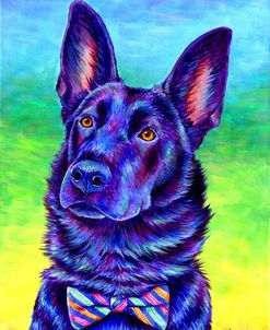 Colorful Black German Shepherd