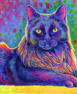 Psychedelic Rainbow Black Cat