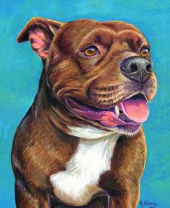 Staffordshire Bull Terrier