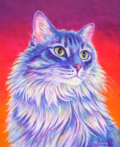 Longhaired Purple Tabby Cat