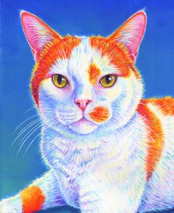 Orange and White Cat on Blue