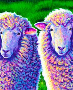 Two Colorful Sheep