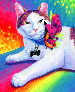 Rainbow Cat