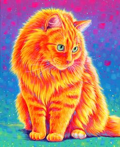 Longhaired Orange Tabby Cat