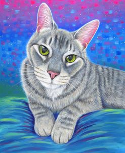 Colorful Grey Tabby Cat