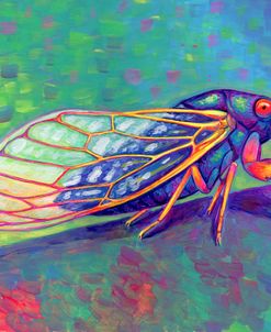 Magic Cicada