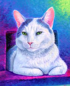 Rainbow White Cat