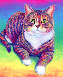 Vibrant Rainbow Brown Tabby Cat