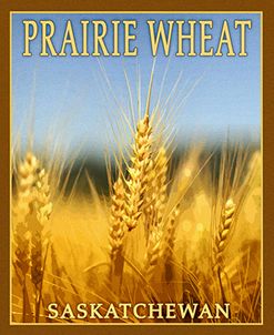 Praire Wheat,